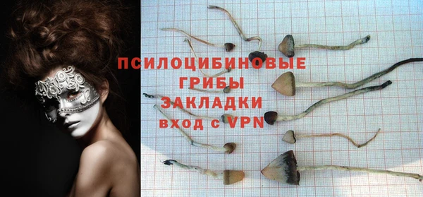 кокаин премиум Белокуриха